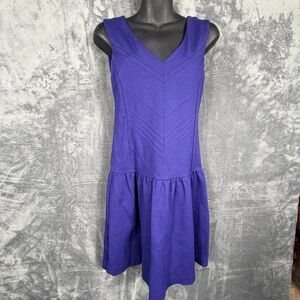 Express Womens Sleeveless V-Neck Dress Size 4 Purple Drop Waist Rayon Blend